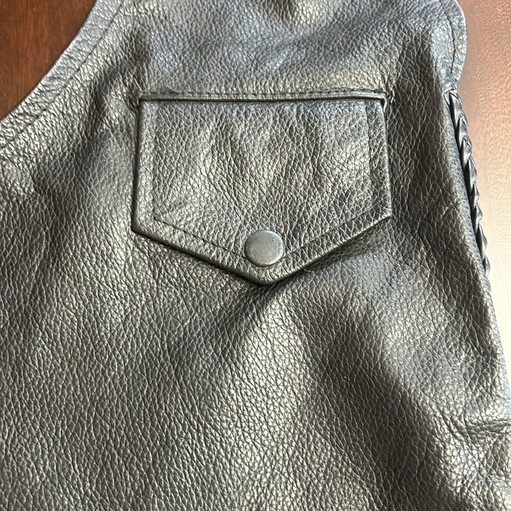 Leather Chaps - image 3